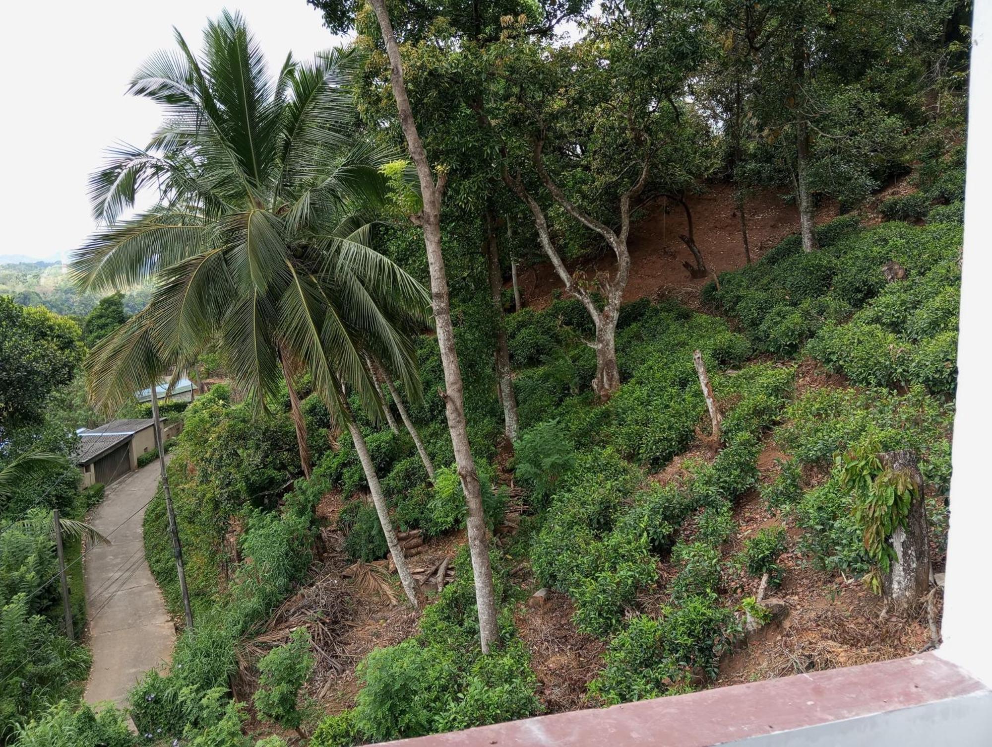 Mountain Bliss Villa เปราเดนิยา ห้อง รูปภาพ